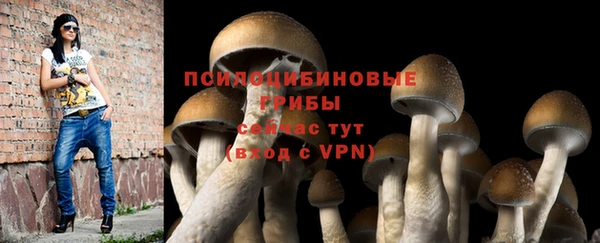 кокаин премиум Зерноград
