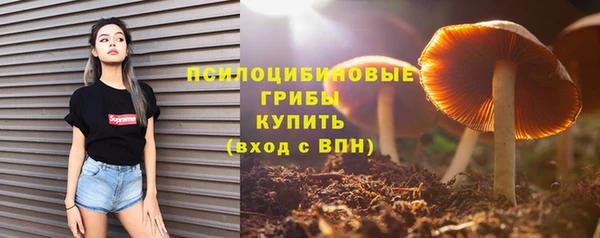 скорость mdpv Каменка