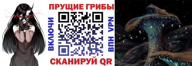 Псилоцибиновые грибы прущие грибы  Купить закладки  Кунгур 